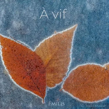 À vif