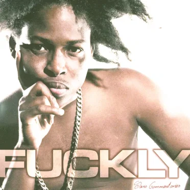 Sans commentaires by Fuckly - album cover
