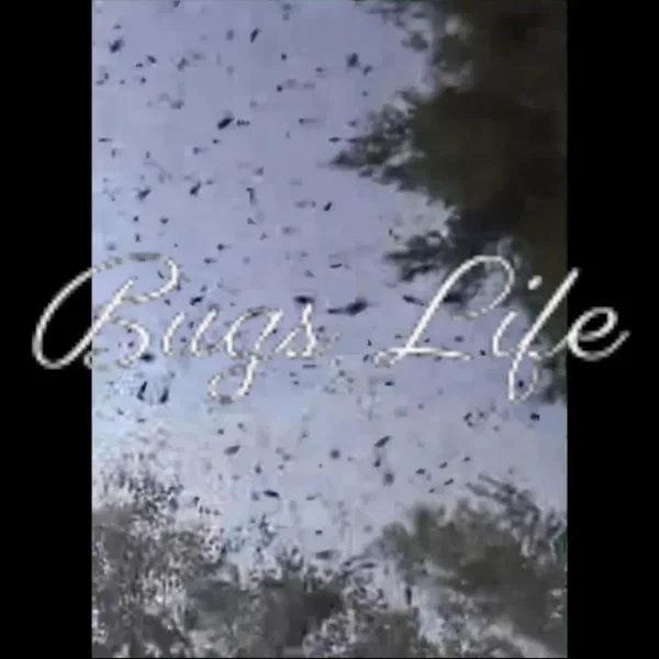 Bugs Life