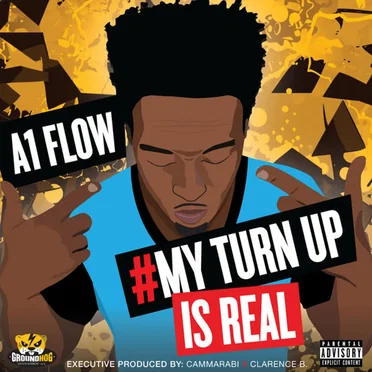 A1 Flow