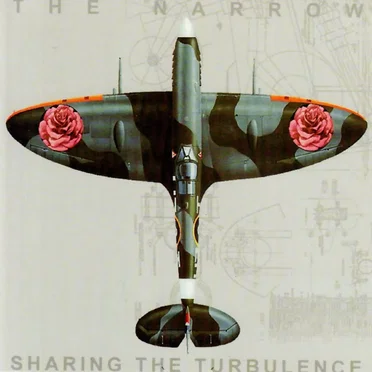 Sharing the Turbulence
