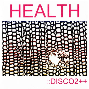 ::DISCO2++