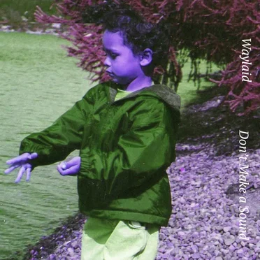 Don't Make a Sound by Waylaid - album cover