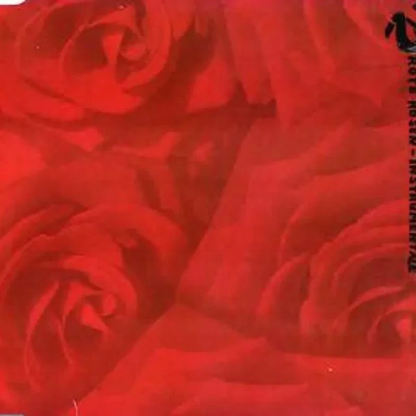 Rote Rosen - Instrumentale