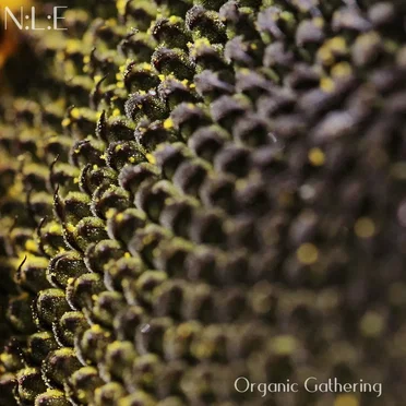 Organic Gathering by Natural Life Essence - album cover