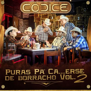 Puras pa' ca...erse de borracho, vol. 2