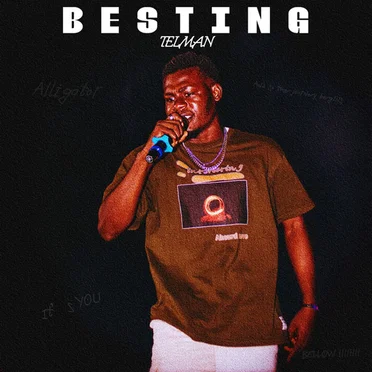 Besting by TELMAN - album cover