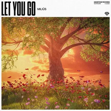 Let You Go by Milius - album cover