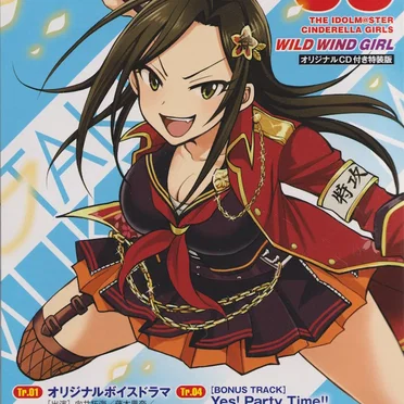 THE IDOLM@STER CINDERELLA GIRLS WILD WIND GIRL 3 オリジナル CD