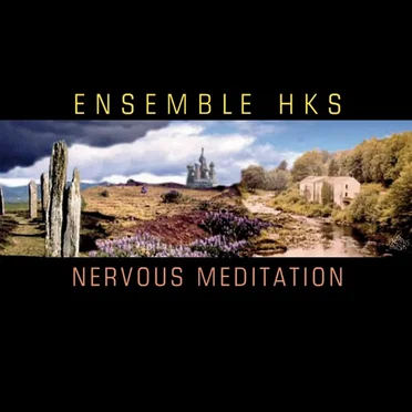 Nervous Meditation by Ensemble HKS - album cover