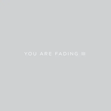 You Are Fading, Vol. 3 (bonus Tracks 2005 - 2010)