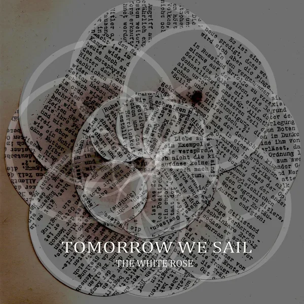 The White Rose