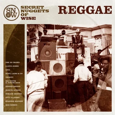 Secret Nuggets of Wise Reggae by Various Artists - album cover