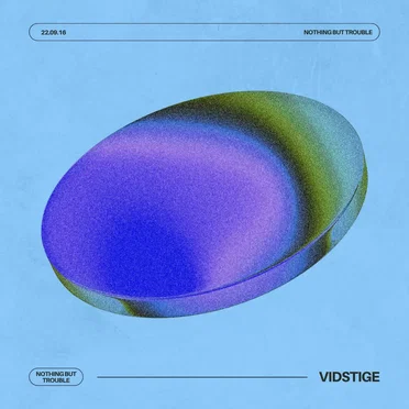 Nothing but trouble by Vidstige - album cover