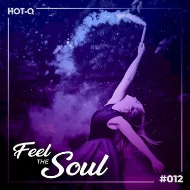 Feel The Soul 012 by Various Artists - album cover