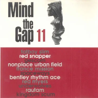 Mind the Gap, Volume 11 by Various Artists - album cover