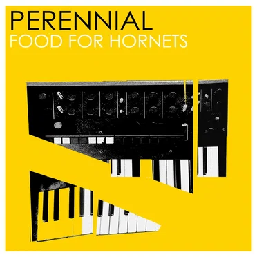 Food for Hornets