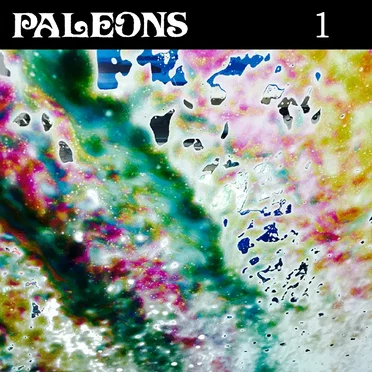 PALEONS I