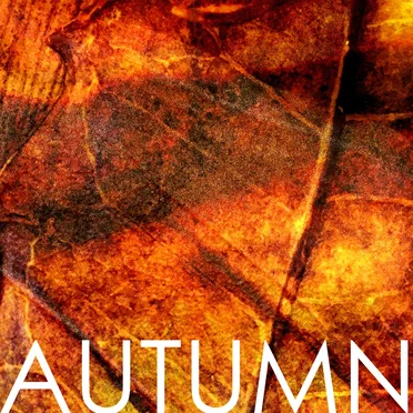 AUTUMN o5