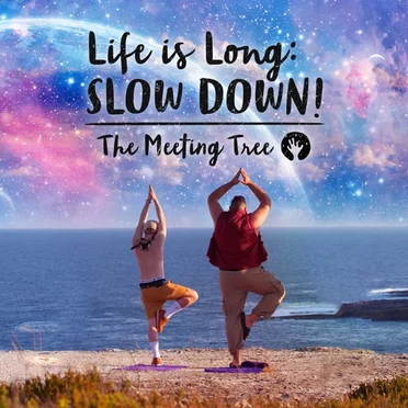 Life is Long: Slow Down! by The Meeting Tree - album cover