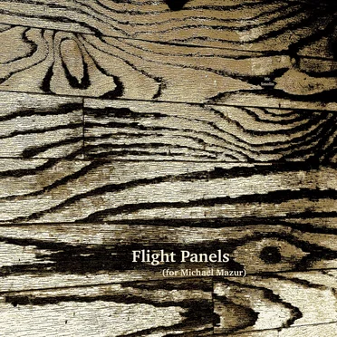 Flight Panels (for Michael Mazur)
