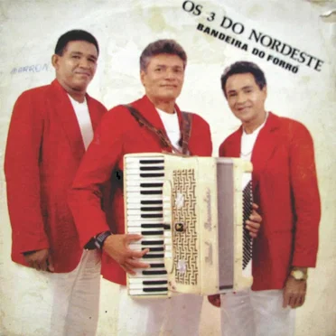 Bandeira do Forró by Os 3 do Nordeste - album cover