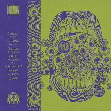 Levitation Sessions by Acid Dad - album cover