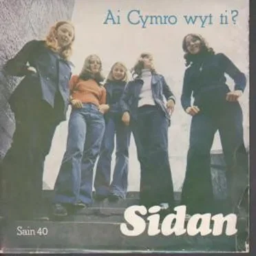 Ai Cymro Wyt Ti?