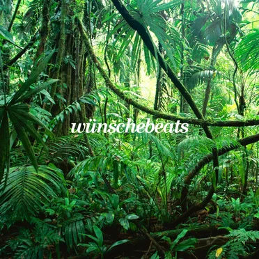 soundcloud bumps by wünsche - album cover
