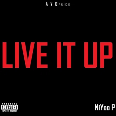 Live It Up by NiYoo P - album cover