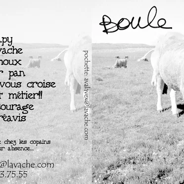 Boule