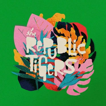 Mind Over Matter by The Republic Tigers - album cover