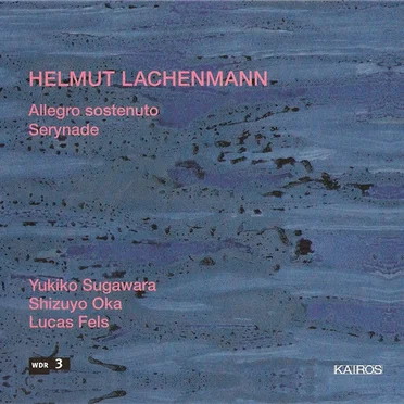 Allegro sostenuto / Serynade