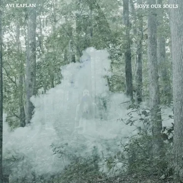 Move Our Souls by Avi Kaplan - album cover