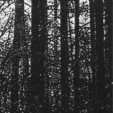L'ombre du néant