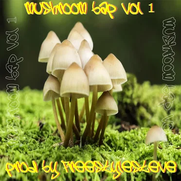 Mushroom Bap, Vol. 1 by FreestileSteve - album cover