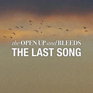 The Last Song