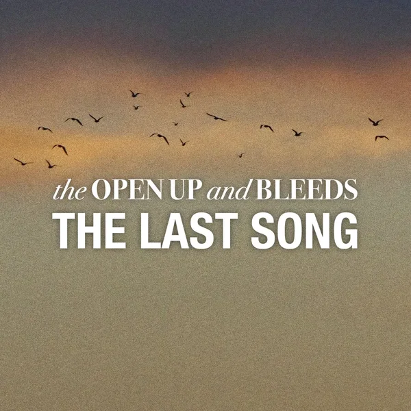 The Last Song