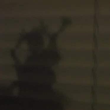 Drunk People Outside at 1:17 AM