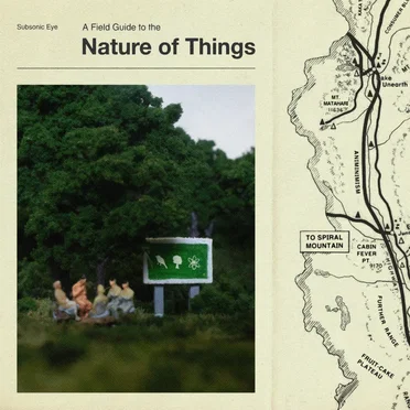 Nature of Things by Subsonic Eye - album cover