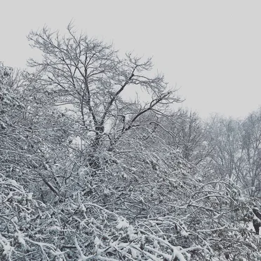 Bleak Mid Winter