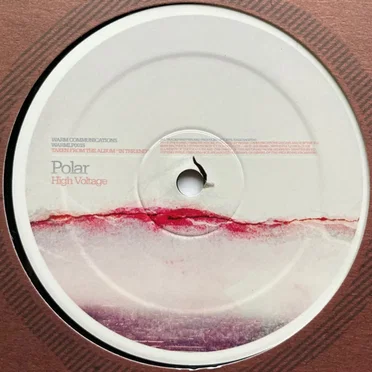 In The End (Album Sampler) by Polar - album cover