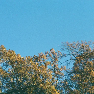 Romanticising