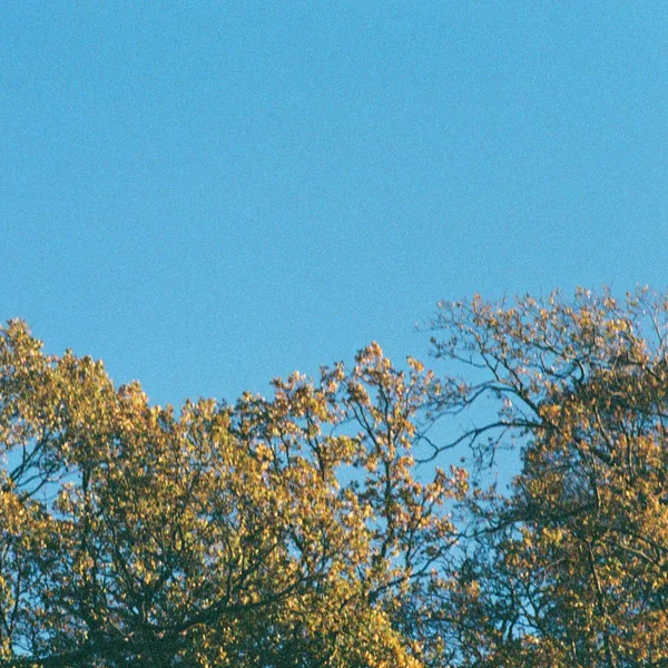 Romanticising