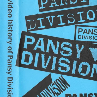 A Video History Of Pansy Division by Pansy Division - album cover