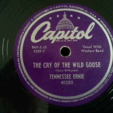 The Cry of the Wild Goose