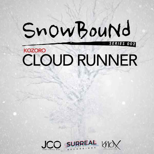 Cloud Runner
