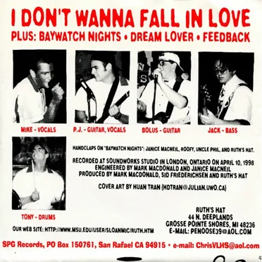 I Don't Wanna Fall In Love