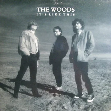 It’s Like This by The Woods - album cover