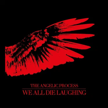The Angelic Process